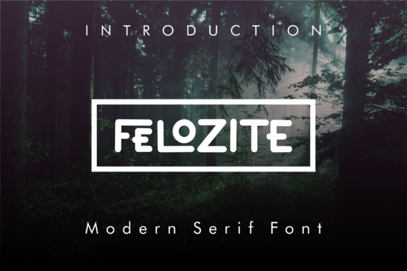 Download Felozite - Premium Bundle
